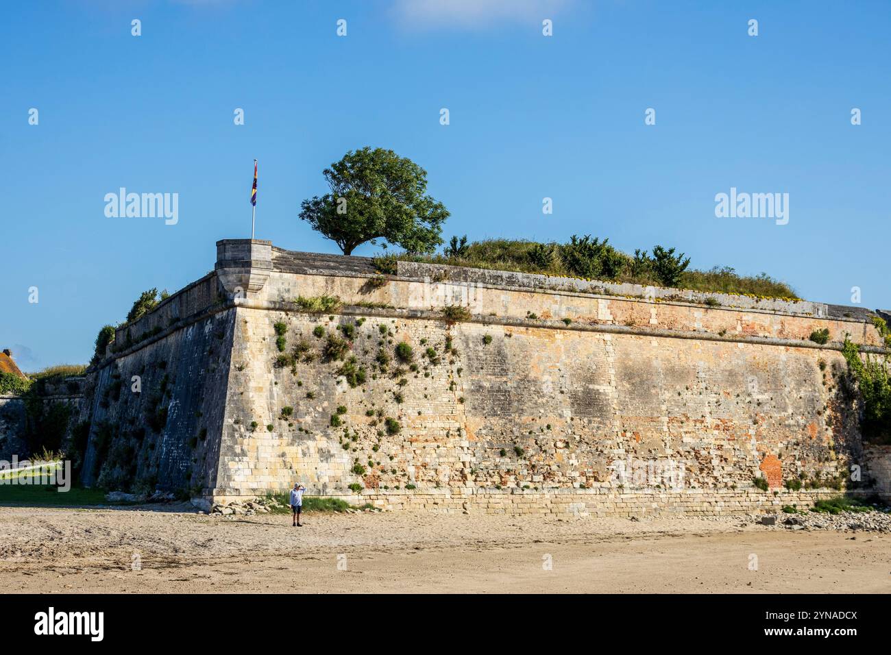 France, Charente-maritime, le Château-d'Oléron, rempart de la Citadelle Banque D'Images