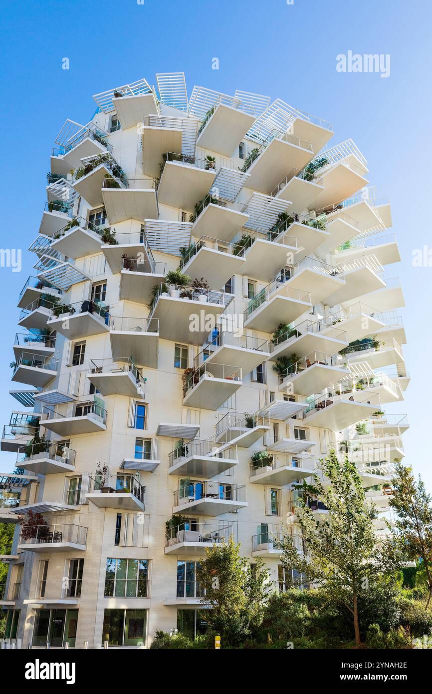 France, Herault (34), Montpellier, quartier Richter, les rives du Lez, l'immeuble L'arbre Blanc, corealise par le japonais Sou Foujimoto et les architectes français Nicolas Laisne et Manal Rachdi Banque D'Images