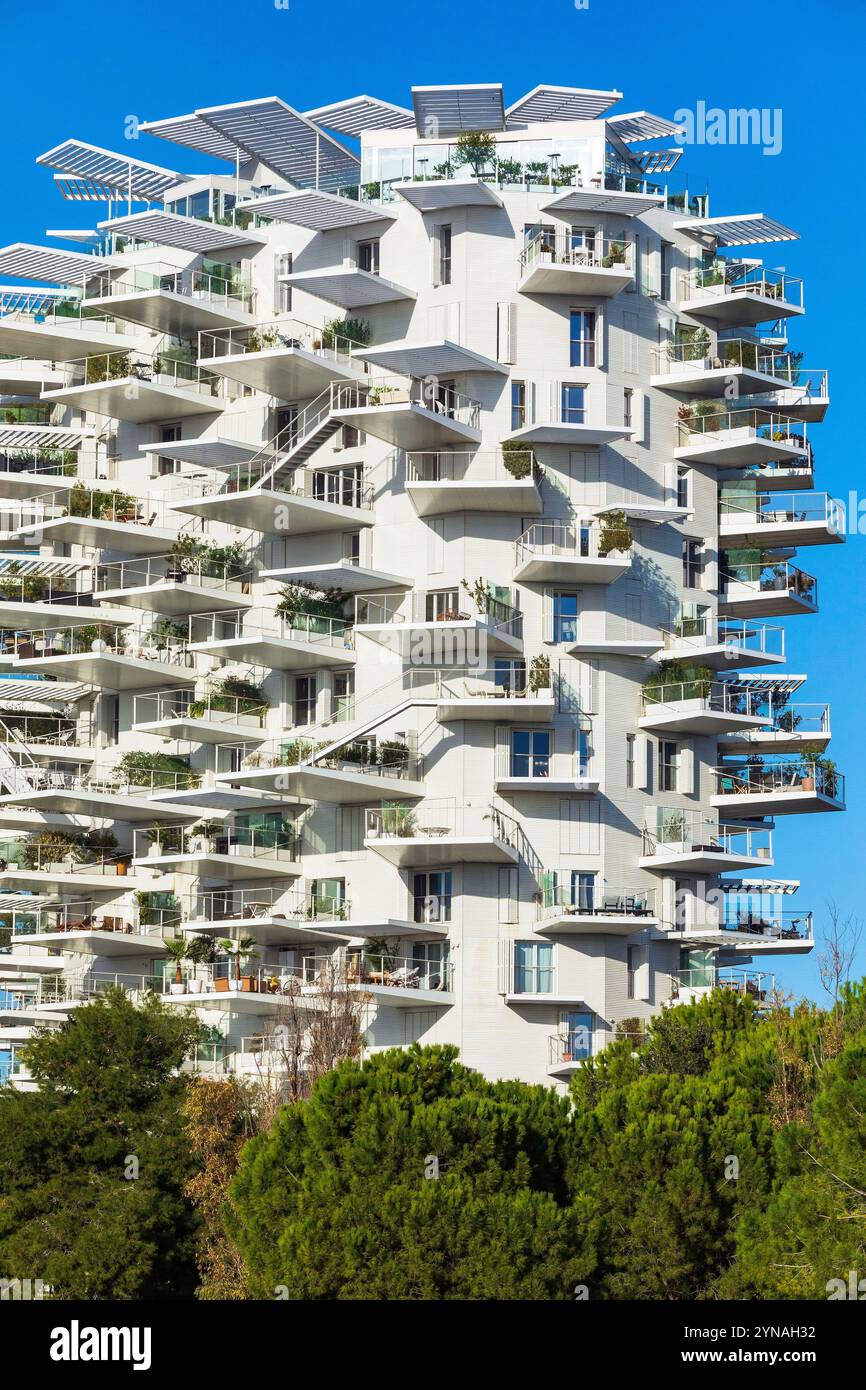 France, Herault (34), Montpellier, quartier Richter, les rives du Lez, l'immeuble L'arbre Blanc, corealise par le japonais Sou Foujimoto et les architectes français Nicolas Laisne et Manal Rachdi Banque D'Images