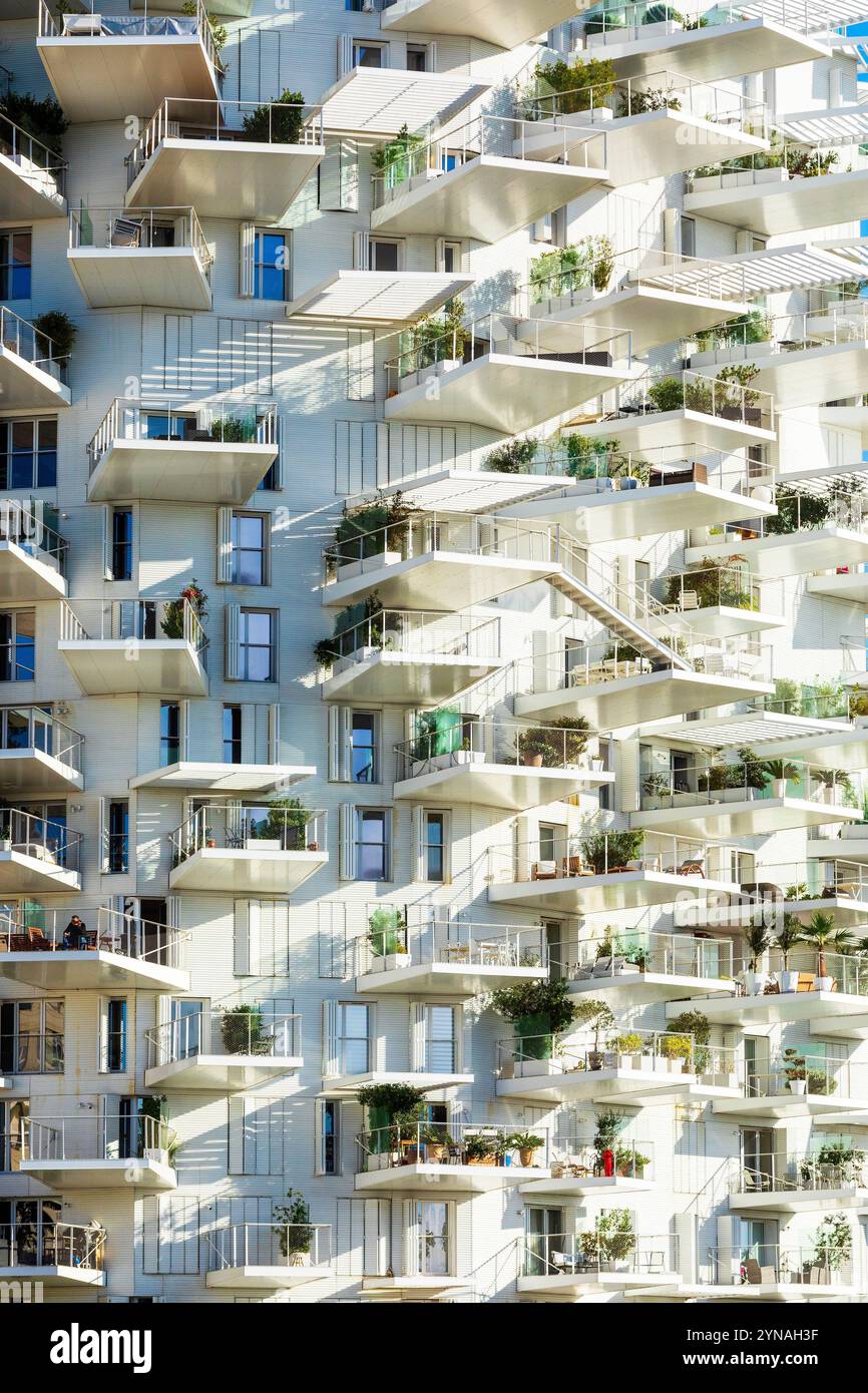 France, Herault (34), Montpellier, quartier Richter, les rives du Lez, l'immeuble L'arbre Blanc, corealise par le japonais Sou Foujimoto et les architectes français Nicolas Laisne et Manal Rachdi Banque D'Images