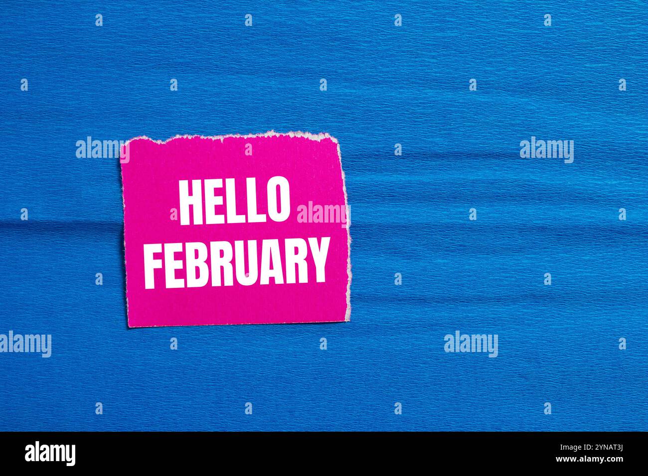 Bonjour février message écrit sur un morceau de papier déchiré rose déchiré avec fond bleu. Symbole conceptuel bonjour février. Copier l'espace. Banque D'Images