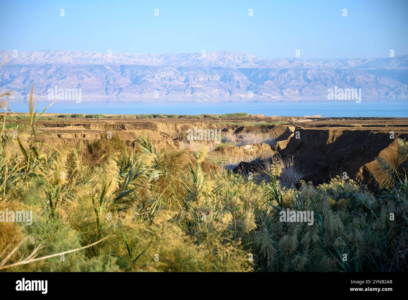 Le recul du niveau d'eau de la mer morte laisse des zones sèches et salées accidentées qui ne soutiennent pas la croissance tandis que l'eau de source lave le sel à proximité de A. Banque D'Images