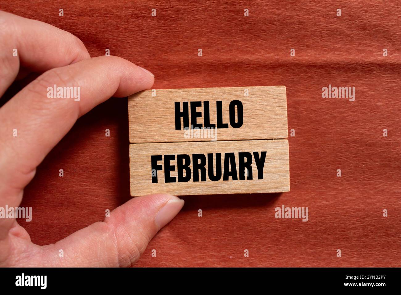 Bonjour février message écrit sur des blocs de bois avec fond brun. Symbole conceptuel bonjour février. Copier l'espace. Banque D'Images