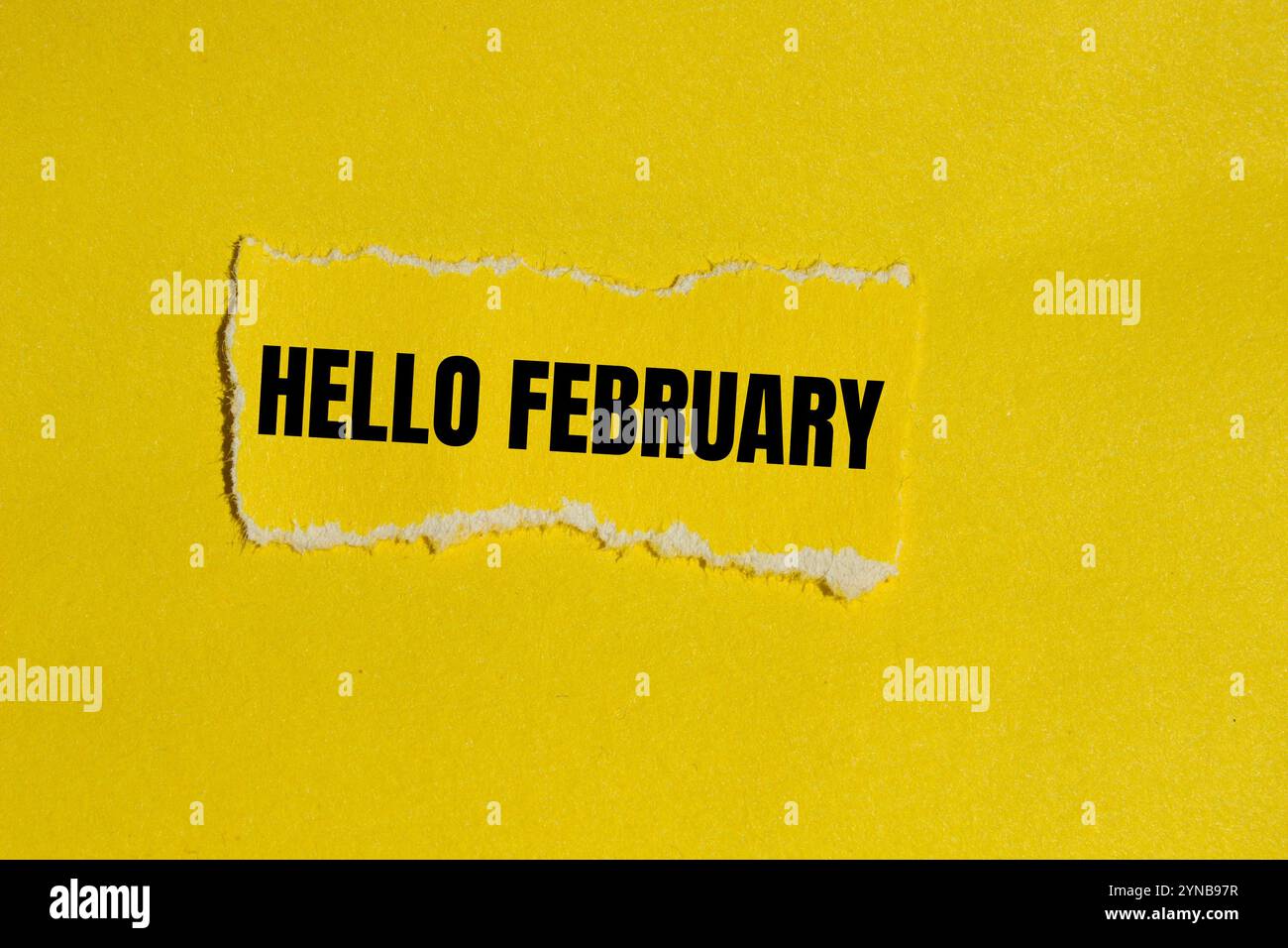 Bonjour février message écrit sur un morceau de papier déchiré jaune déchiré avec fond jaune. Symbole conceptuel bonjour février. Copier l'espace. Banque D'Images