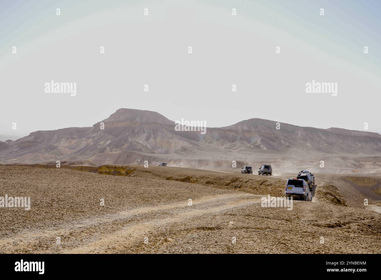 Désert du Néguev, paysage d'Israël Banque D'Images