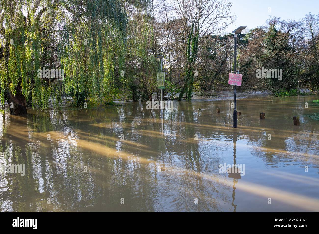 Chippenham, Wiltshire, Royaume-Uni, 25 novembre 2024. La rivière Avon inonde ses rives dans Monton Park, centre-ville de Chippenham. Crédit : Lynchpics/Alamy Live News Banque D'Images