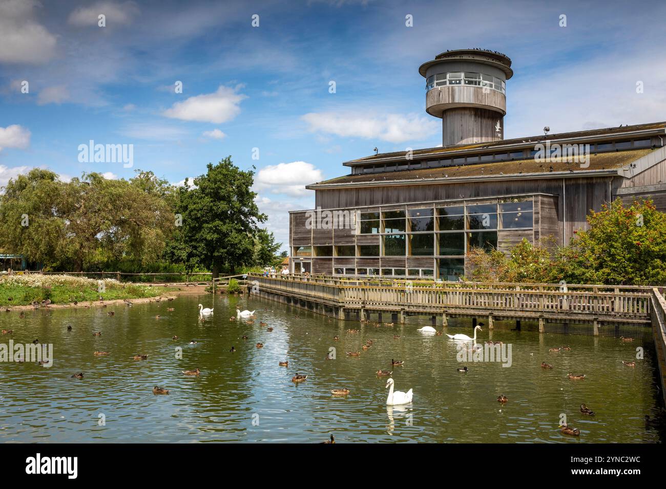 Royaume-Uni, Angleterre, Gloucestershire, Vale of Berkeley, Slimbridge, Wildflower and Wetlands Trust, centre d'accueil et tour d'observation Sloane Banque D'Images