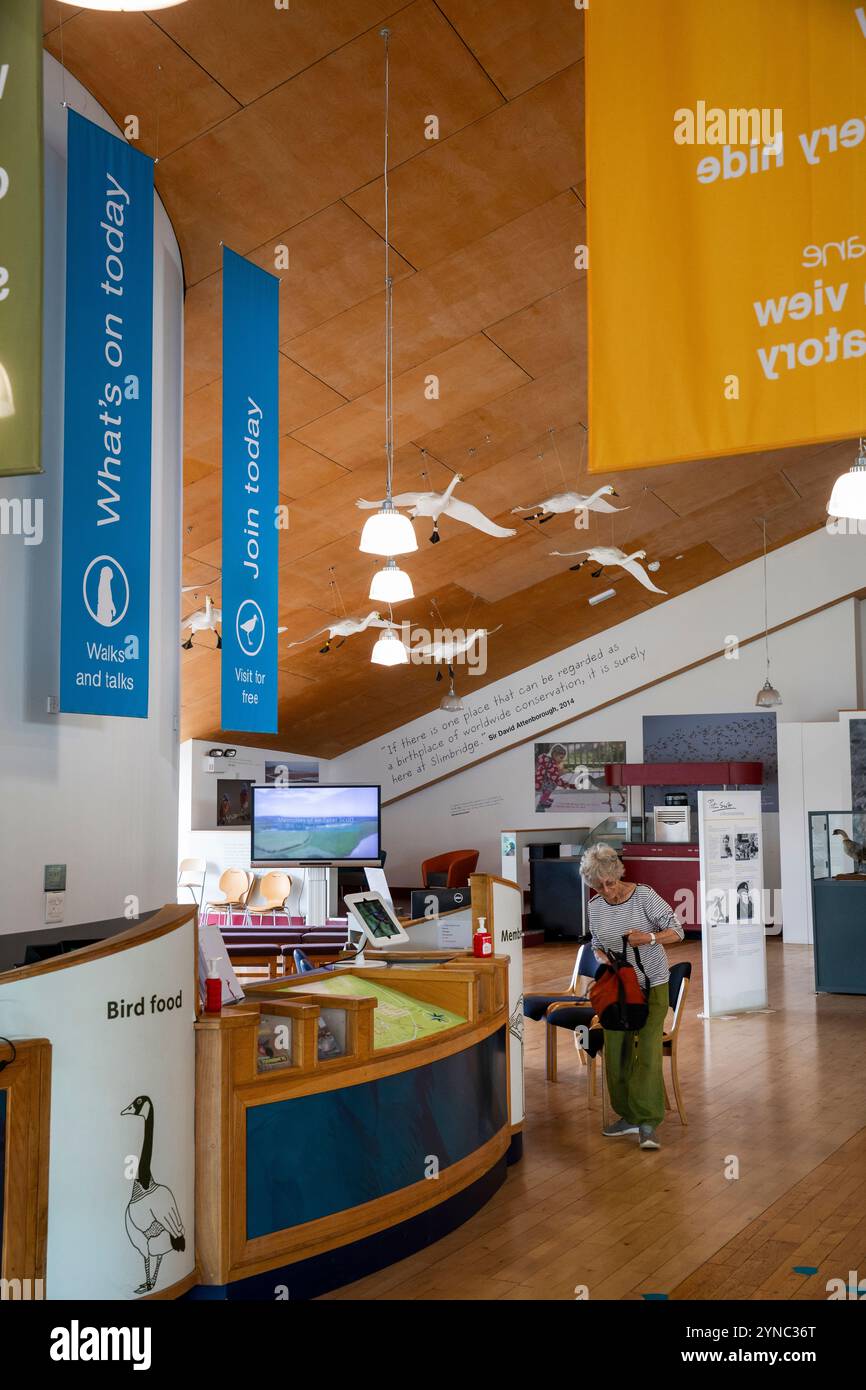 Royaume-Uni, Angleterre, Gloucestershire, Vale of Berkeley, Slimbridge, Wildflower and Wetlands Trust, centre d'accueil Banque D'Images