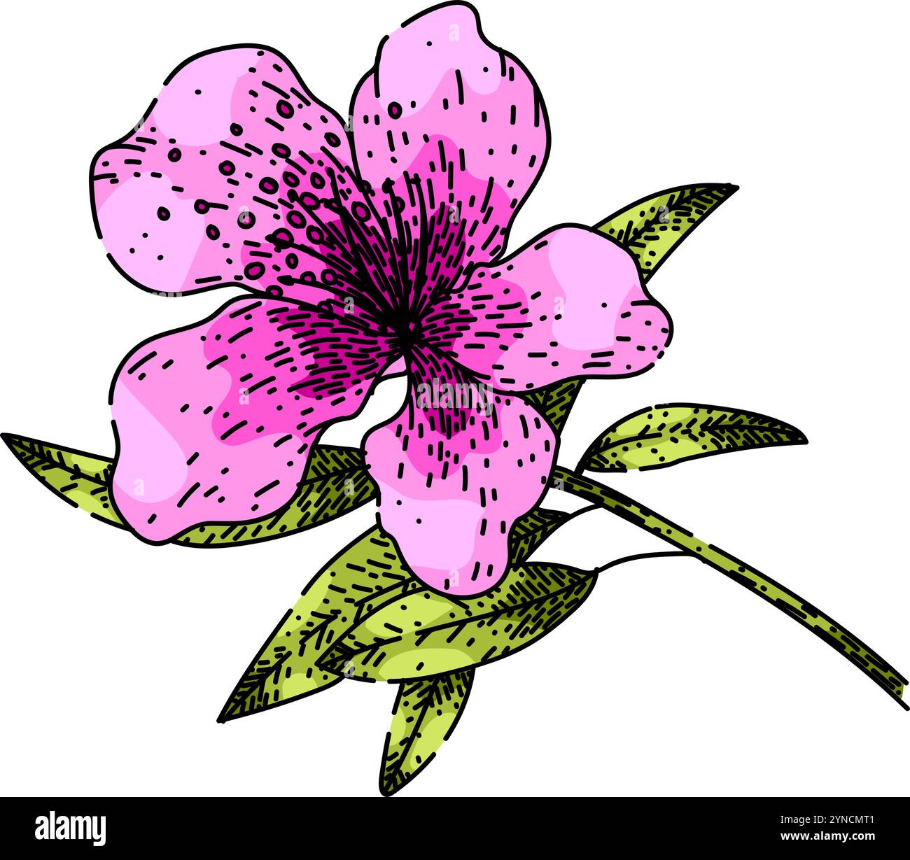fleur azalée esquisse vecteur dessiné à la main Illustration de Vecteur