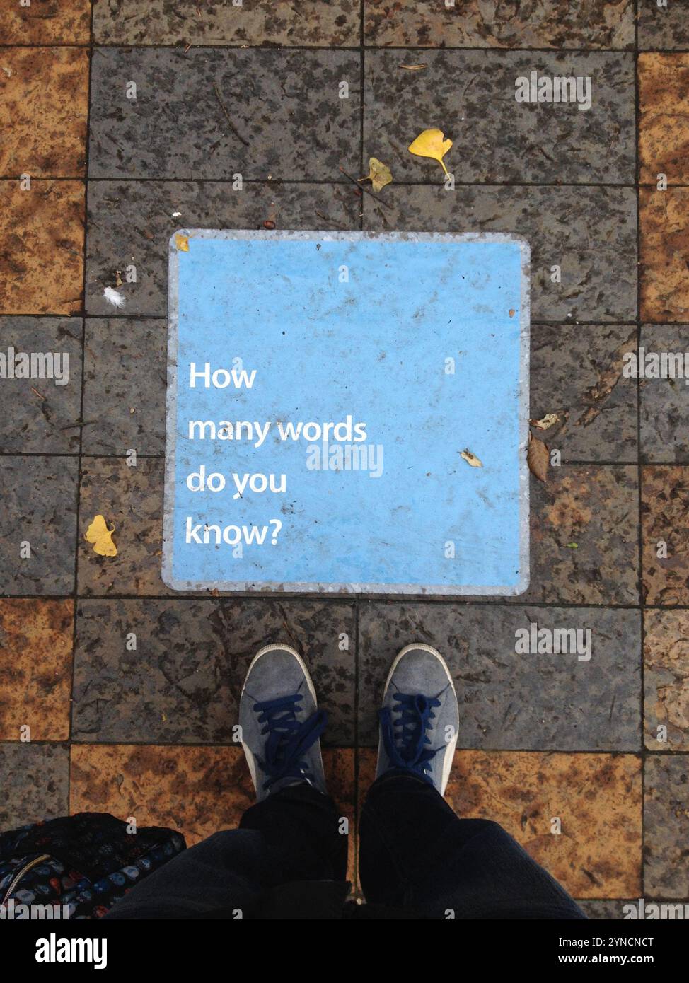 Londres, Royaume-Uni - 1er septembre 2019 - Un panneau sur le trottoir s'interroge sur le sujet de l'éducation et de la littérature. Banque D'Images
