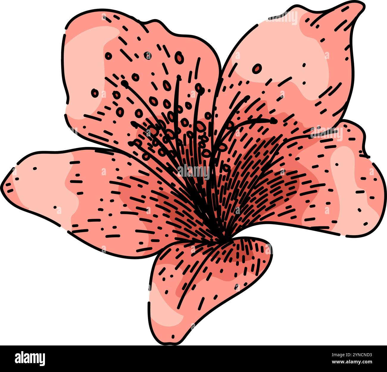 vecteur dessiné à la main par l'esquisse d'azalée de jardin Illustration de Vecteur