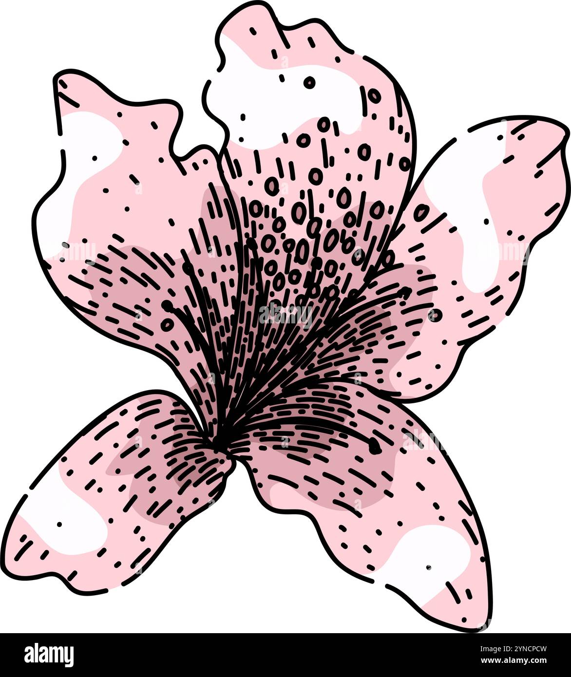 vecteur dessiné à la main par l'esquisse d'arbuste azalée Illustration de Vecteur