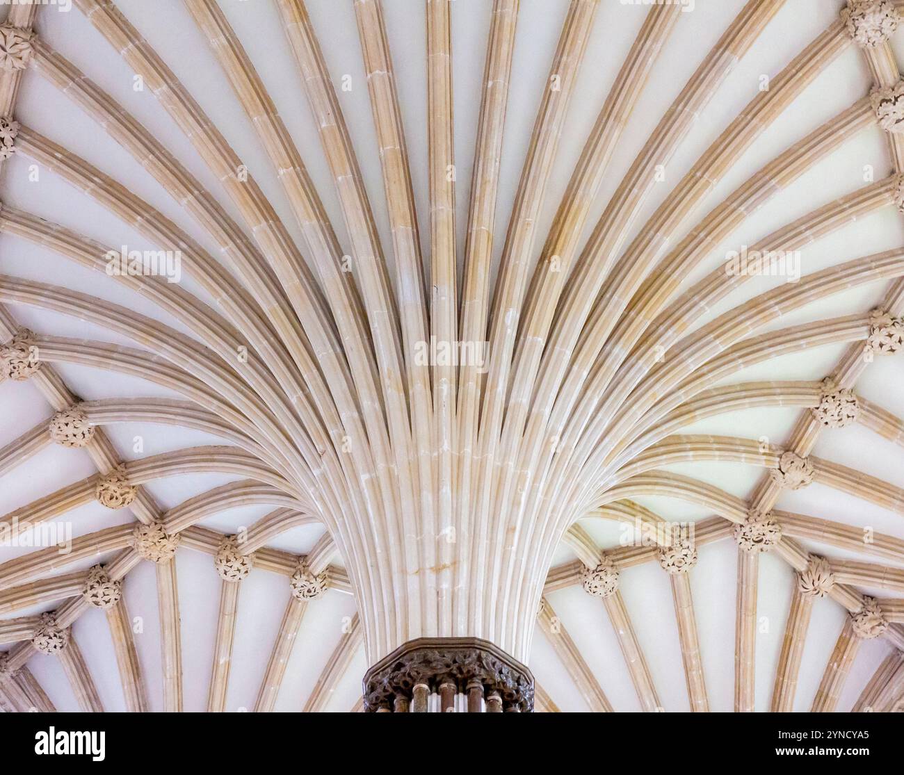Détail de l'intérieur de la Maison du Chapitre dans la cathédrale de Wells Somerset Angleterre Royaume-Uni montrant une partie du plafond voûté octogonal. Banque D'Images
