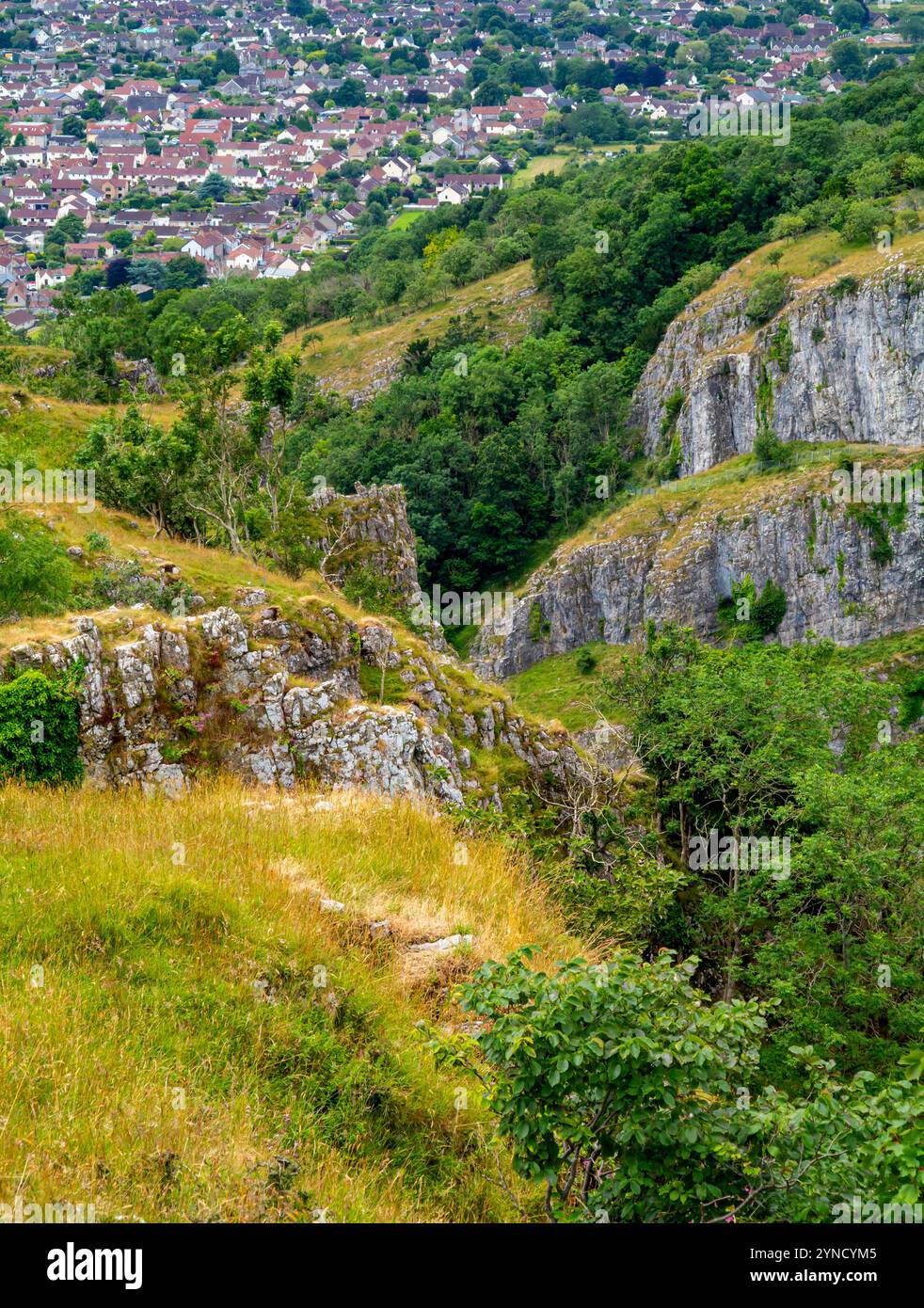 Vue sur les falaises de calcaire du carbonifère à Cheddar gorge une attraction touristique dans les collines de Mendip dans le Somerset sud-ouest de l'Angleterre Royaume-Uni Banque D'Images