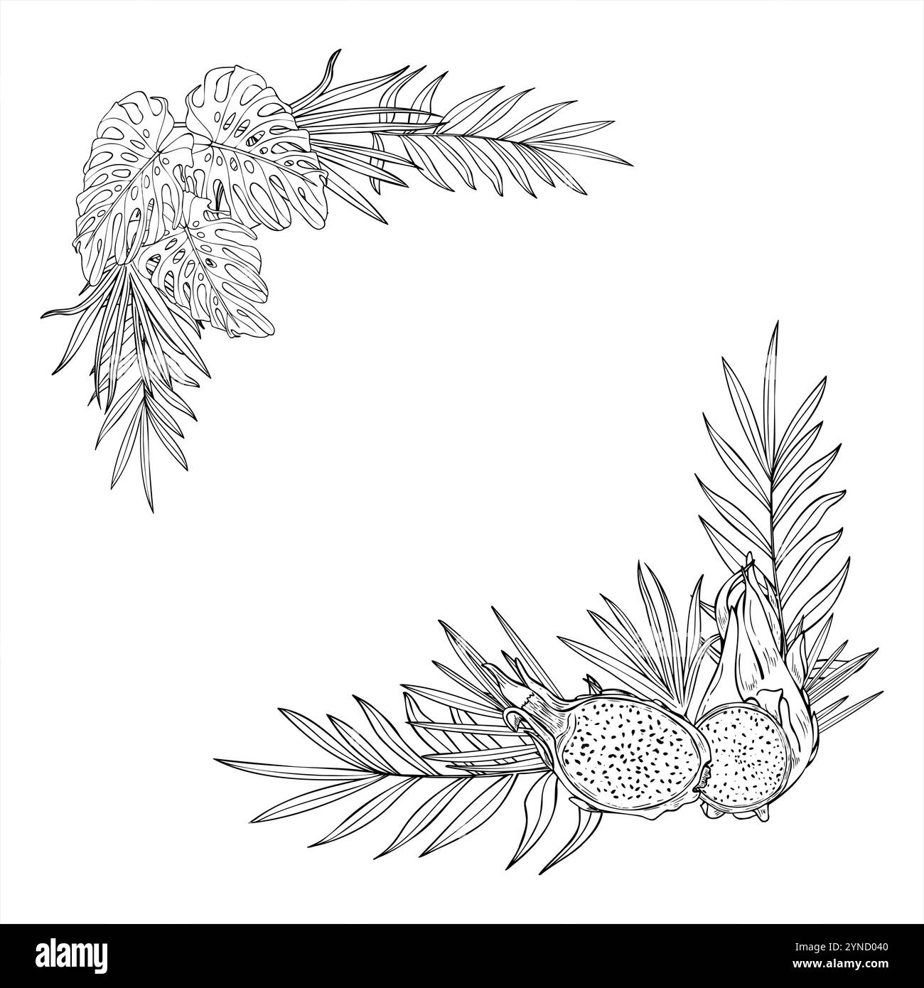 Vecteur monochrome fruits tropicaux et feuilles vecteur bordure carrée avec espace vide pour le texte. pitaya tranches et monstera , feuilles de palmier ligne art noir Illustration de Vecteur