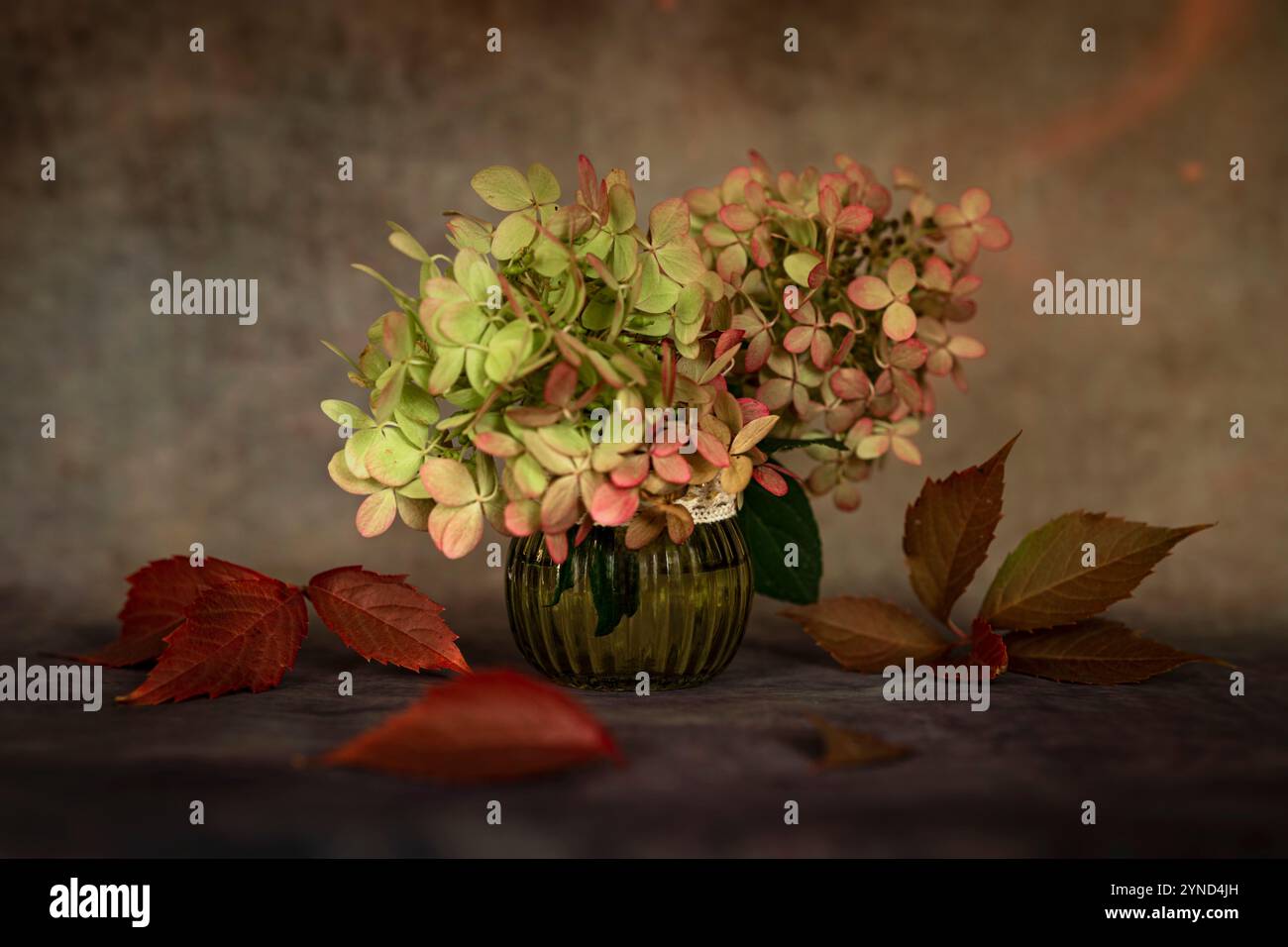 Hortensja w szklanym wazonie Banque D'Images