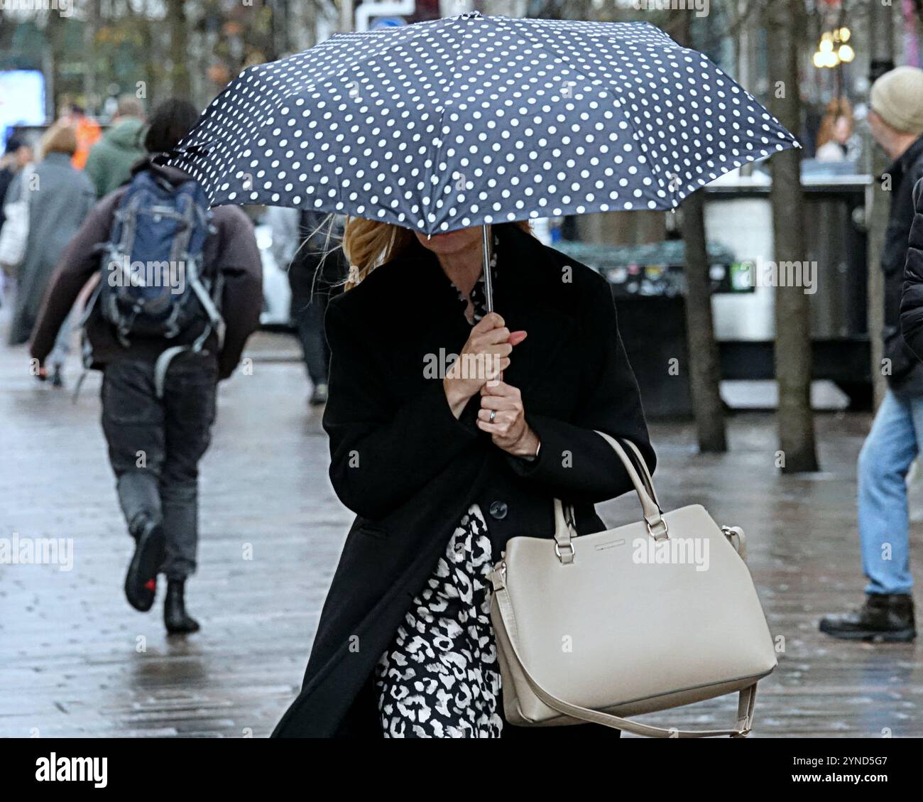 Glasgow, Écosse, Royaume-Uni. 25 novembre 2024. Météo britannique : le climat hivernal et la tempête Bert se poursuivent alors que les habitants luttent dans la ville. Crédit Gerard Ferry/Alamy Live News Banque D'Images