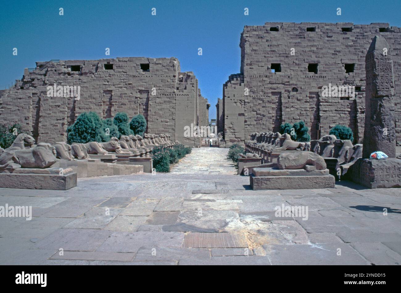 Statues sphinx à tête RAM et 1. Pylône, temple d'Amon-Ré, complexe du temple de Karnak, Louxor, vallée du Nil, Égypte, septembre 1989 Banque D'Images