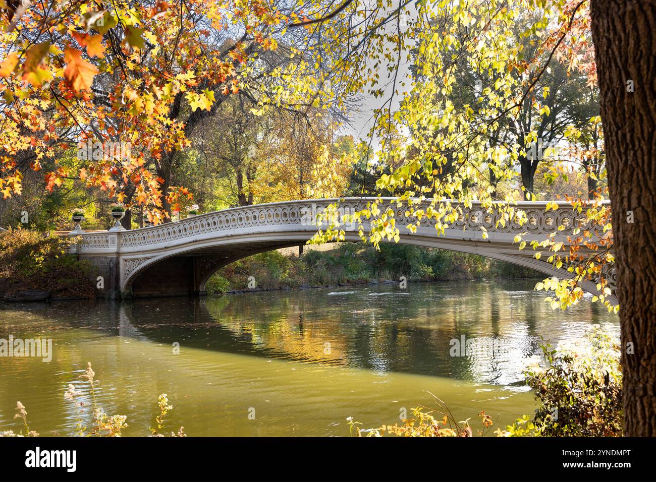 Des feuilles dorées entourent un pont pittoresque dans Central Park. Les reflets scintillent dans l'eau, créant un paysage d'automne paisible Banque D'Images