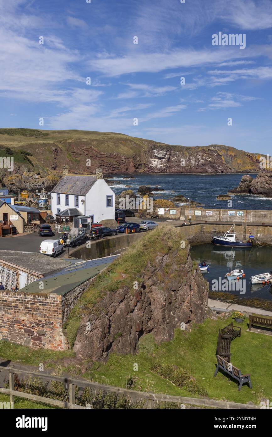 Port du village de pêcheurs : Abbs, Scottish Borders, Scotland, Grande Bretagne Banque D'Images