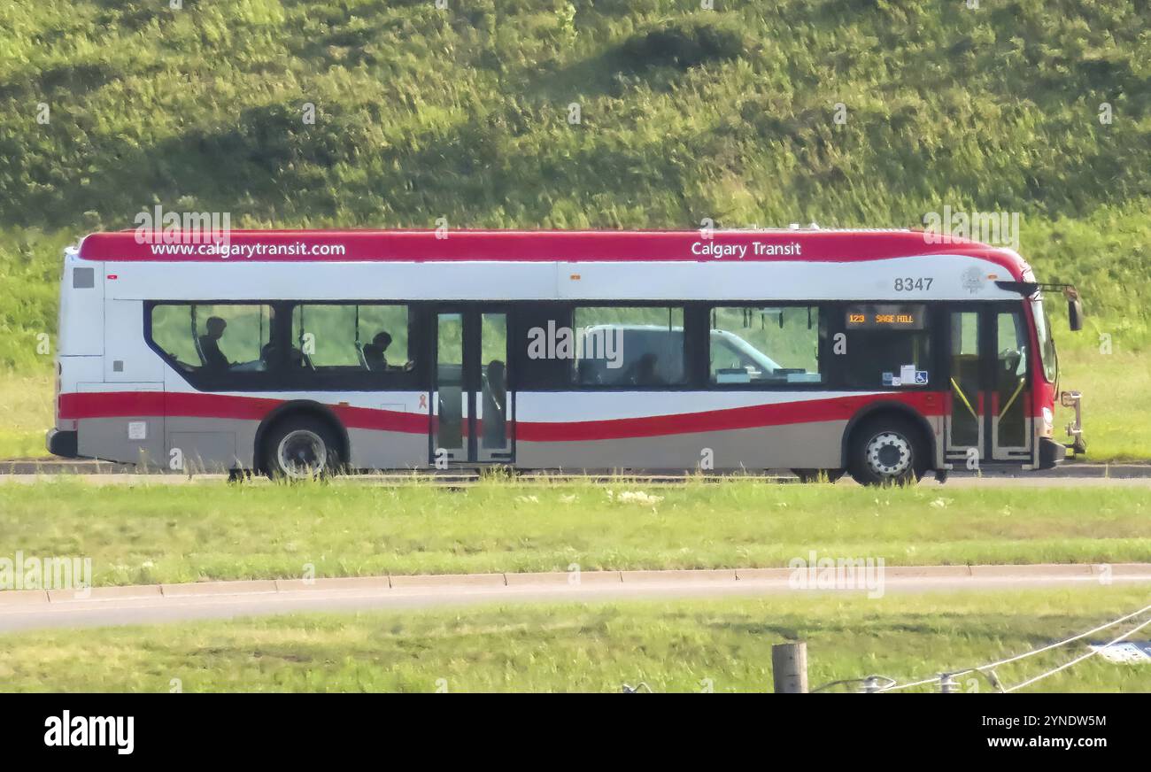 Calgary, Alberta, Canada. 19 juillet 2023. Un autobus Calgary transit sur la route pendant l'été Banque D'Images