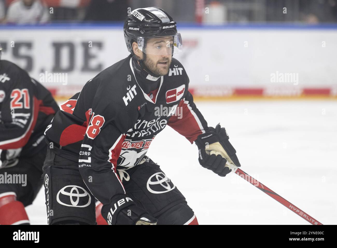 Laura Dick Cologne, LanxessArena, Rhénanie du Nord-Westphalie, Joshua Currie (Koelner haie, #18), PENNY DEL, Koelner haie-Duesseldorfer EG on 24/11/2024 at Banque D'Images