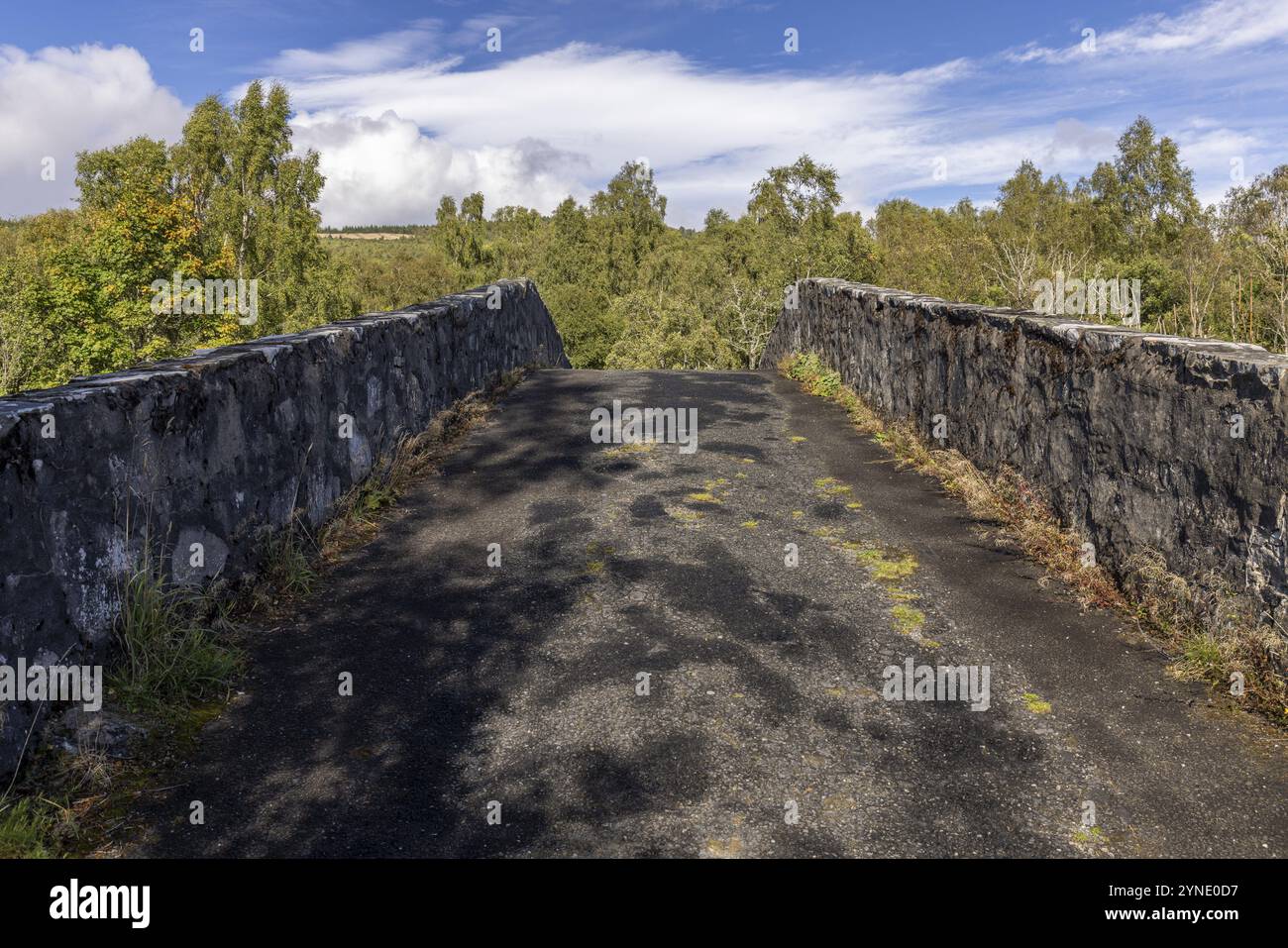 Pont de Tummel, vieux pont en arc de pierre sur la rivière Tummel dans le village du même nom, pont de Tummel, Highlands, Écosse, Grande-Bretagne Banque D'Images