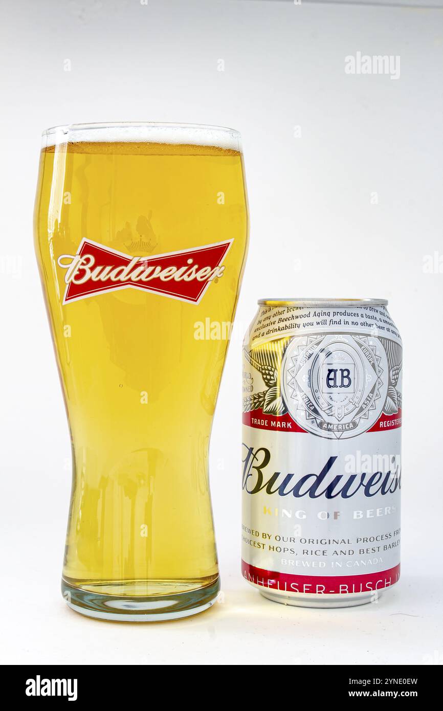 Calgary (Alberta). Canada. 25 mai 2020. Une bière Budweiser isolée pinte avec une bière canette sur la droite sur un fond blanc Banque D'Images