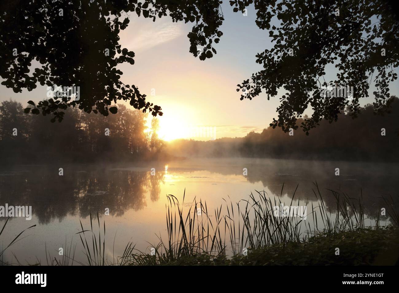 Lever du soleil sur un lac par une journée d'été brumeuse Banque D'Images