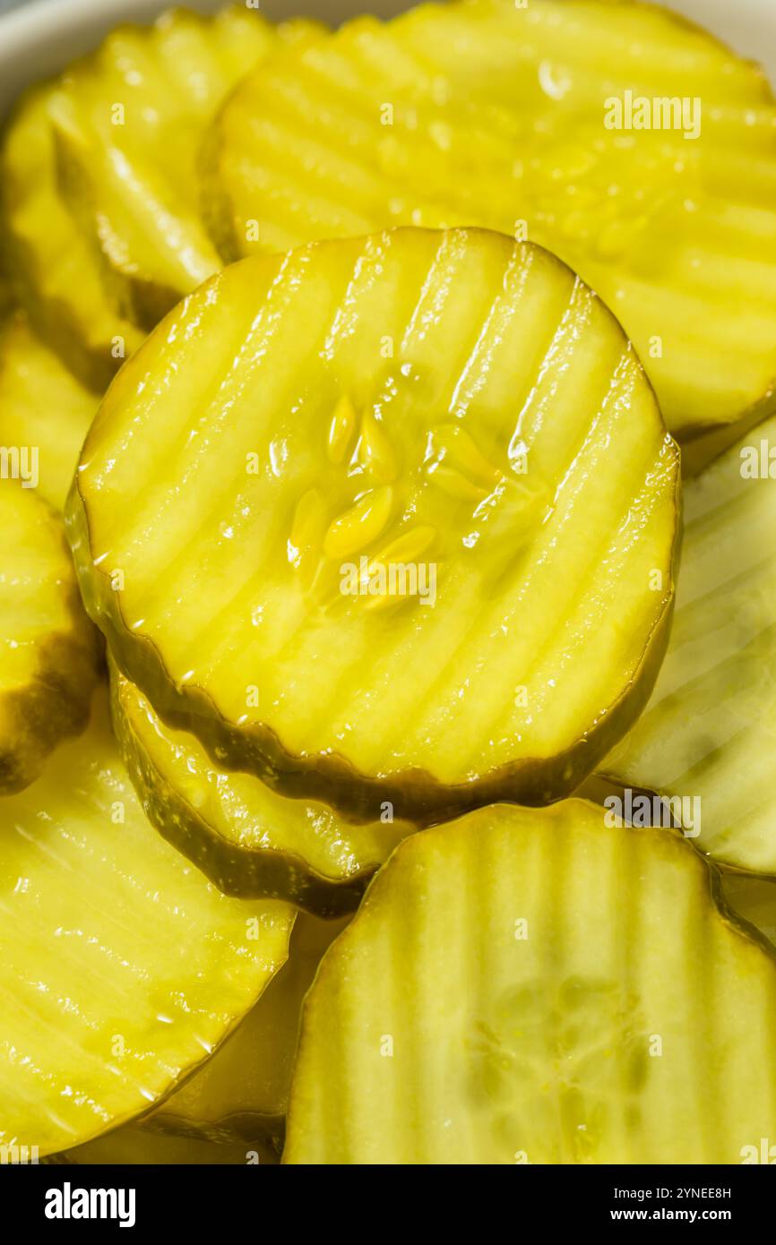Tranches de cornichon à l'aneth biologique faites maison dans un bol Banque D'Images