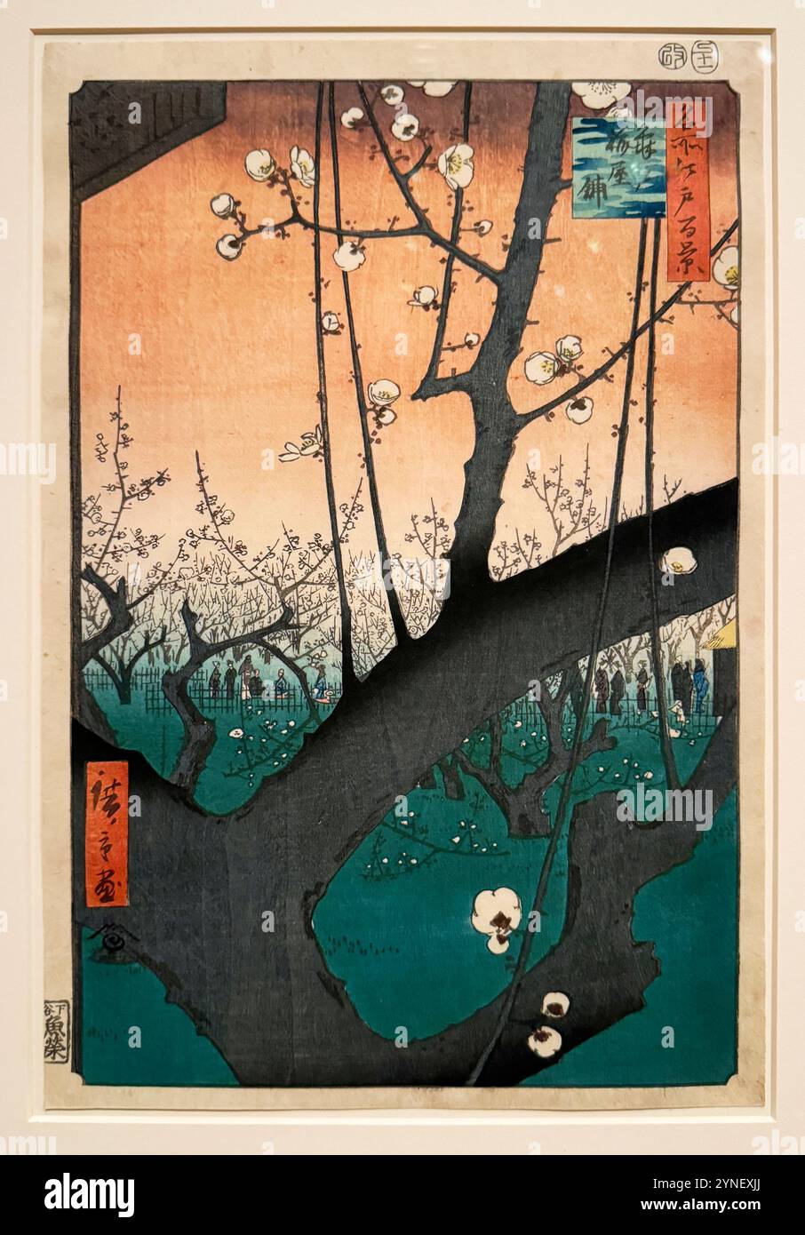 Le verger de prunes à Kameido par Utagawa Hiroshige. Fleurs, bourgeons sur l'arbre. Une estampe japonaise gravée sur bois à la Légion d'honneur à San Francisco, en Californie. Banque D'Images