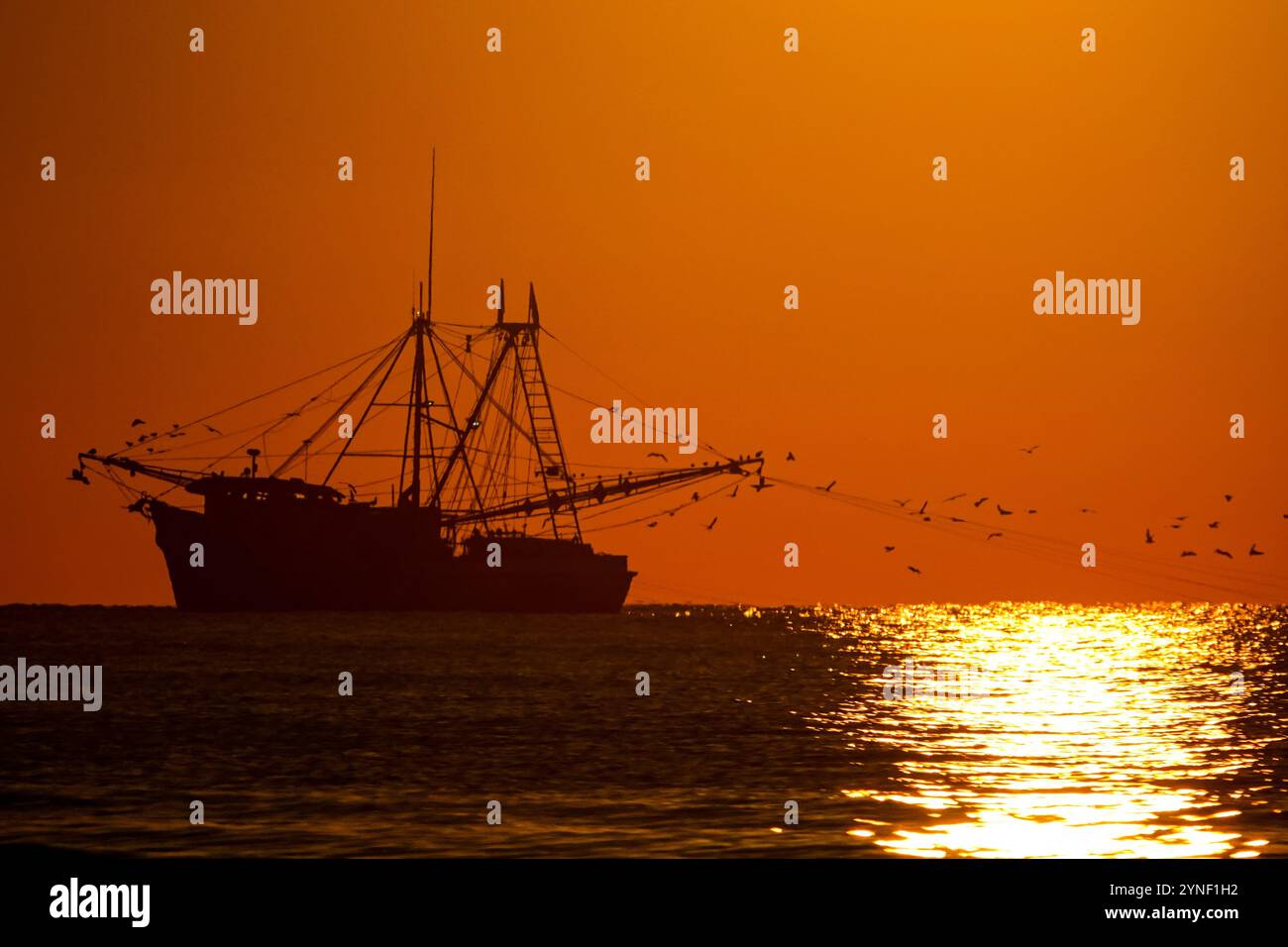 Île de Palms, États-Unis. 25 novembre 2024. Un chalutier traîne des filets à crevettes dessinés par le lever du soleil, le long de la côte, le 25 novembre 2024 à Isle of Palms, Caroline du Sud. Crédit : Richard Ellis/Richard Ellis/Alamy Live News Banque D'Images