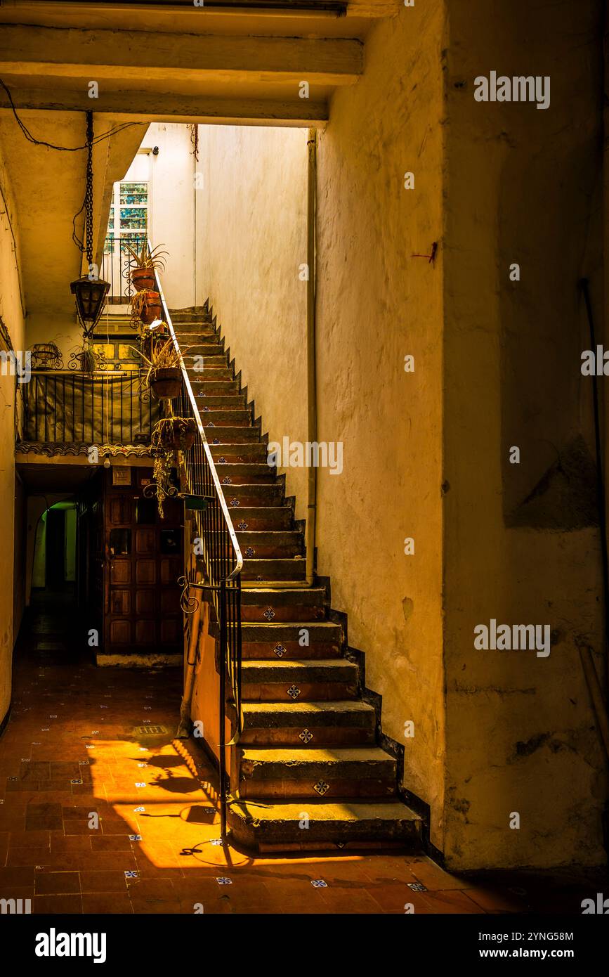Escalier ancien baigné de soleil dans une étroite cour mexicaine avec des plantes en pot et une rampe en fer forgé Banque D'Images
