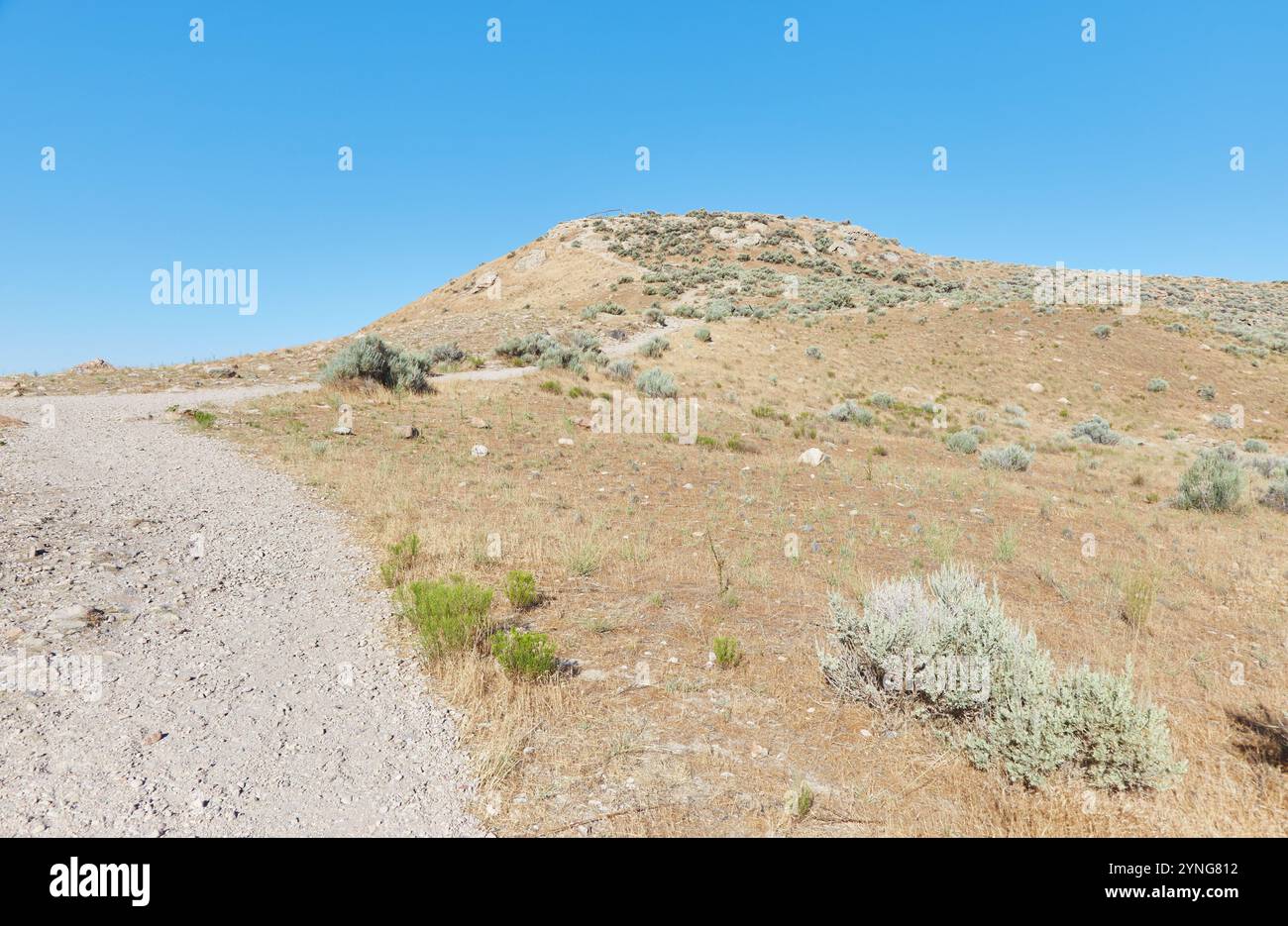 Avec ses 28 022 acres, Antelope Island est la plus grande île du Grand Lac Salé. Et il est maintenant protégé par Antelope Island State Park, le meilleur moyen de faire de l'expérience Banque D'Images