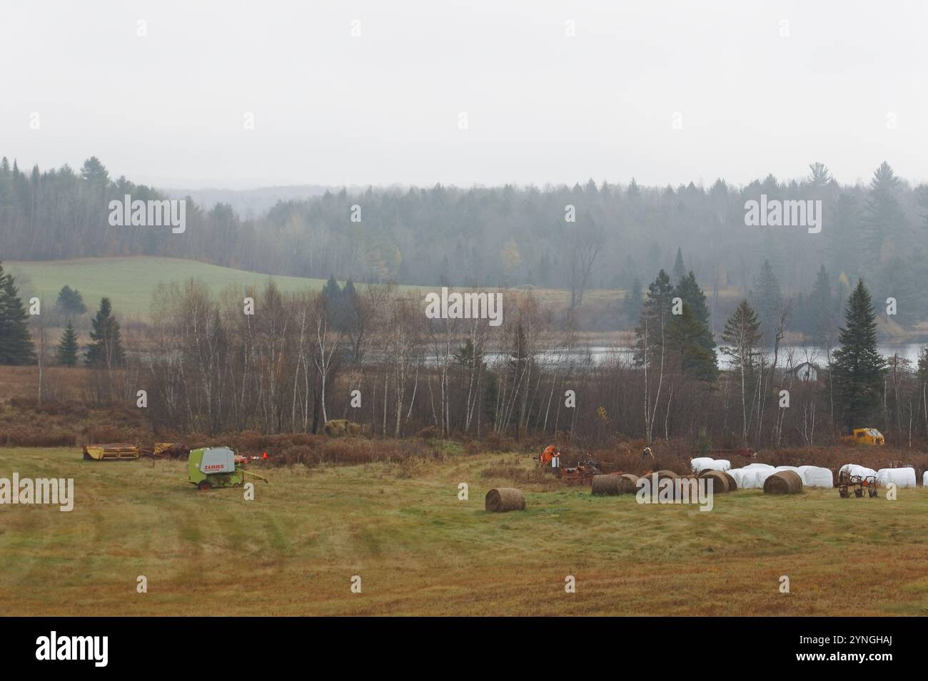 Jour pluvieux humide à la ferme Banque D'Images