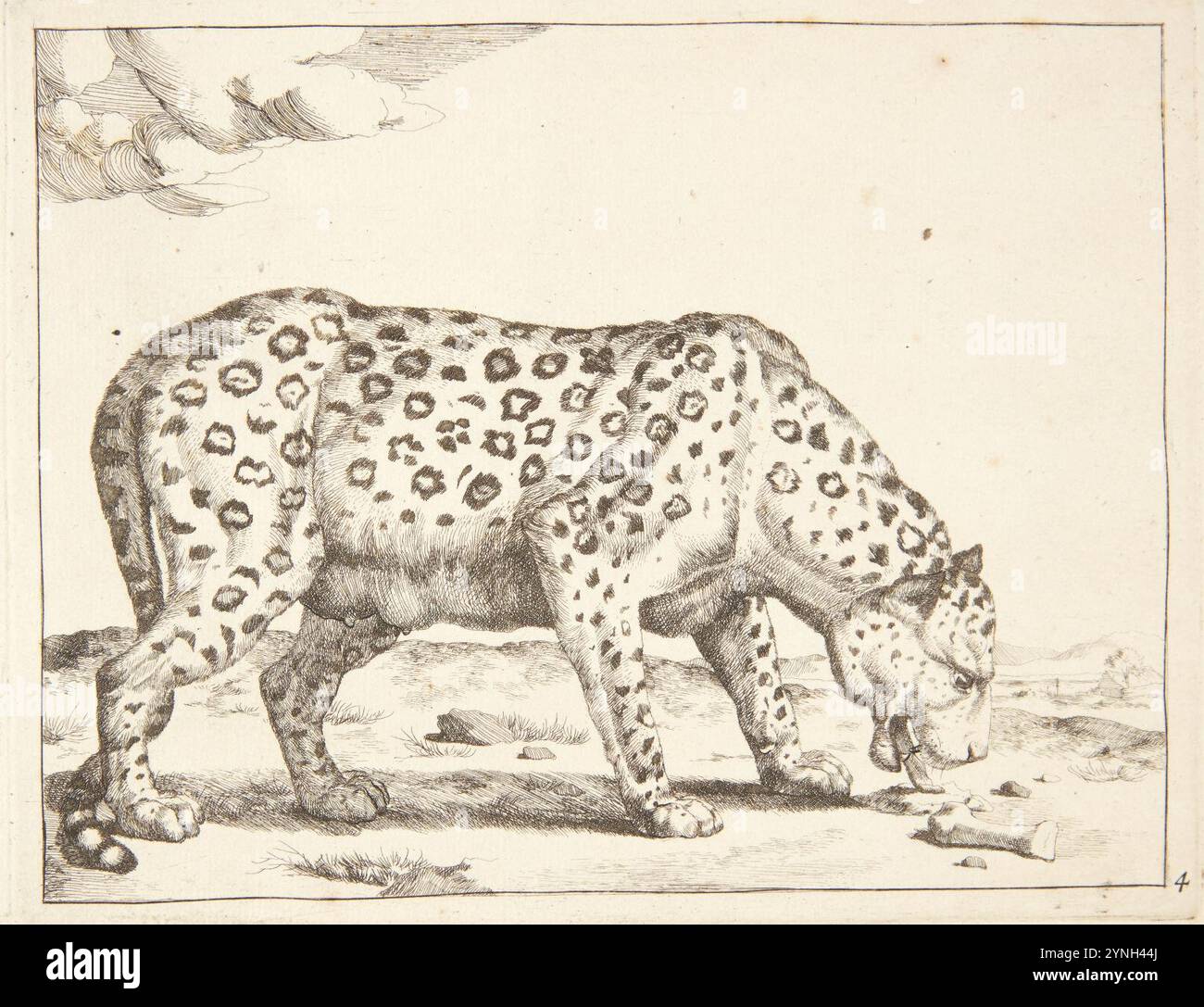 Marcus de Bye, Hunleopard, , Banque D'Images