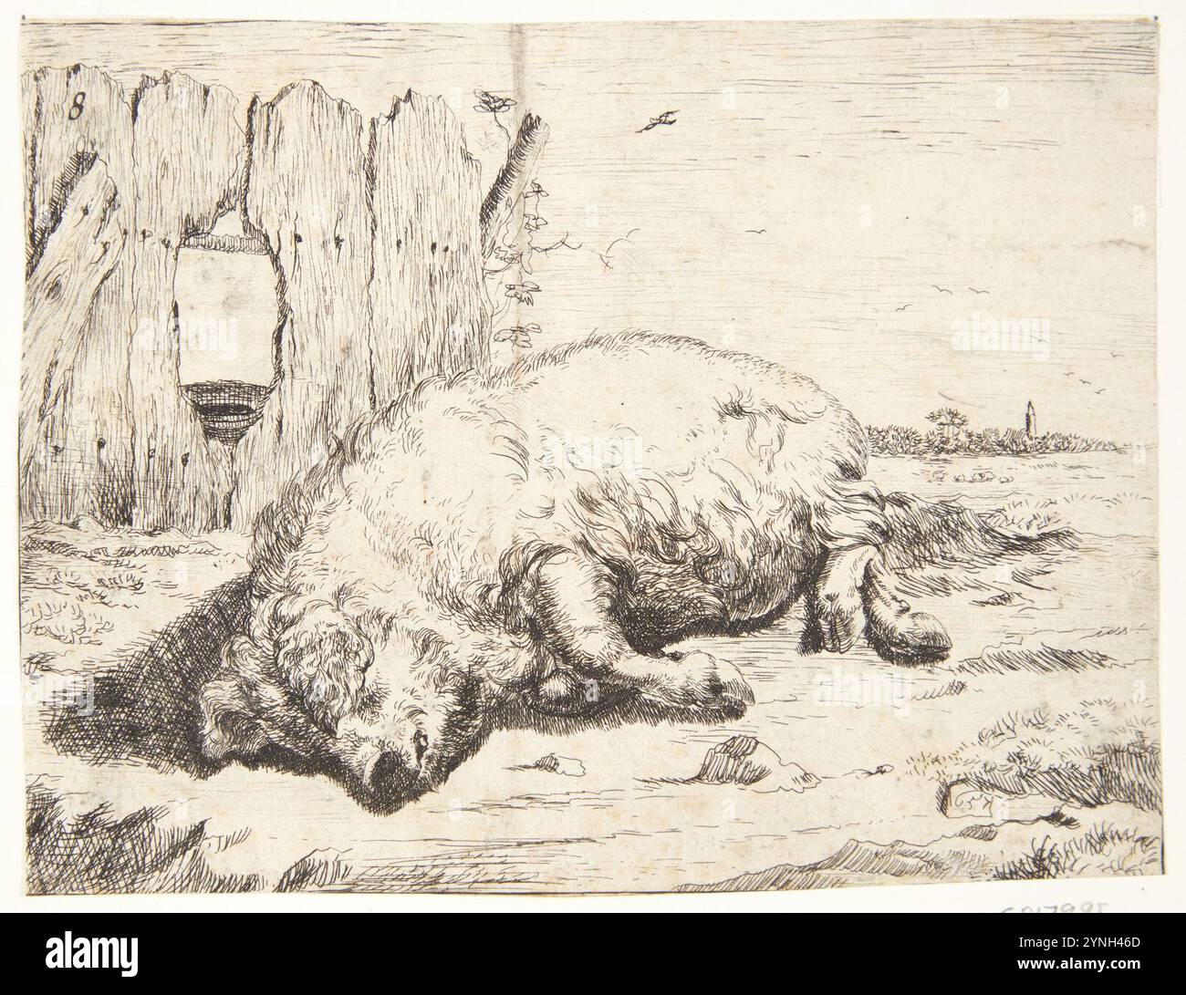 Marcus de Bye, Liggende SO, , Banque D'Images