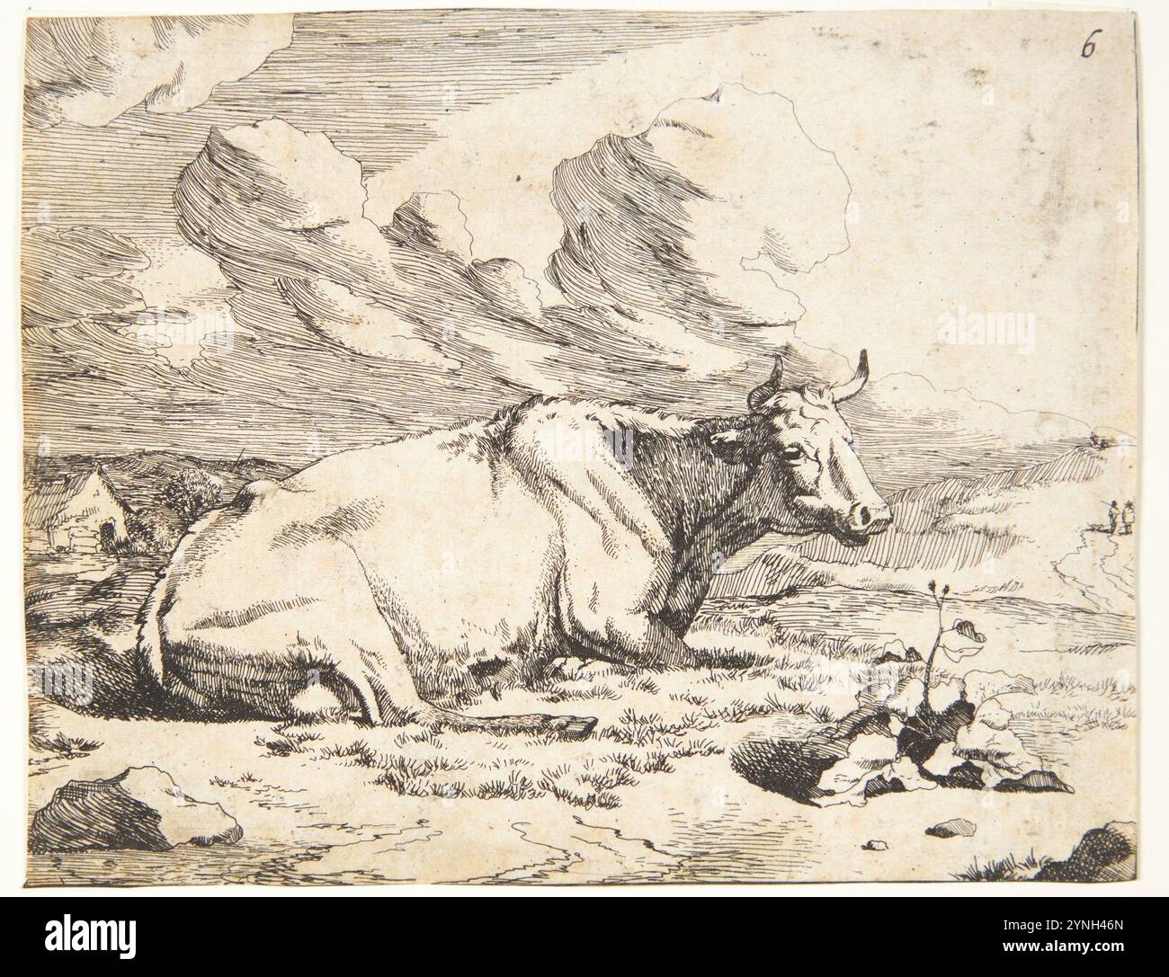 Marcus de Bye, Liggende ko, , Banque D'Images