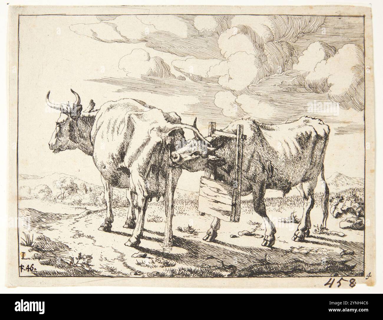 Marcus de Bye, à køer, , Banque D'Images