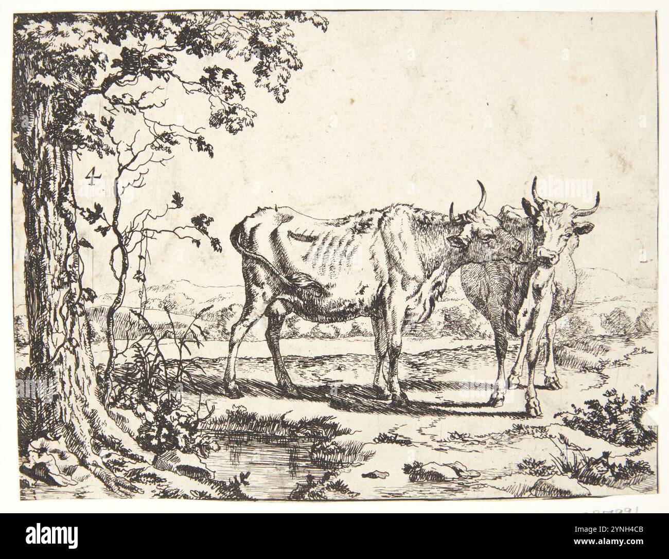 Marcus de Bye, à køer, , Banque D'Images