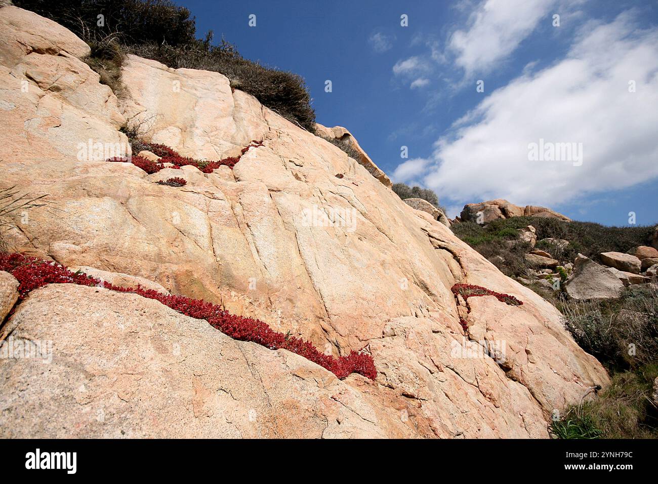 Carrière de granit - île de San Pietro - archipel de la Maddalena - Sardaigne - Ialy - Europe Banque D'Images