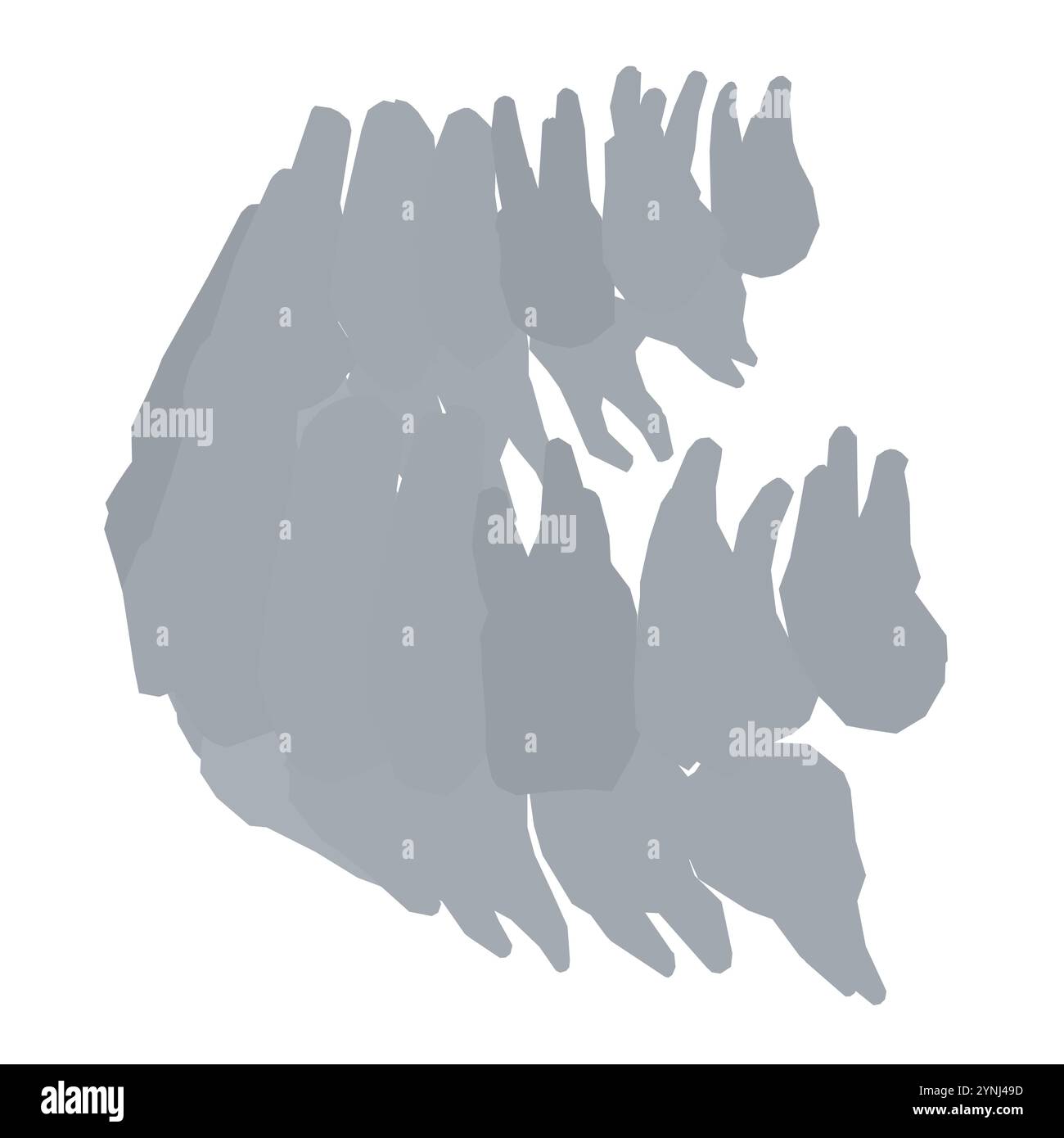 Types de silhouette dentaire. Diverses dents humaines avec racines, molaires, prémolaires, canines. Illustration vectorielle. Illustration de Vecteur