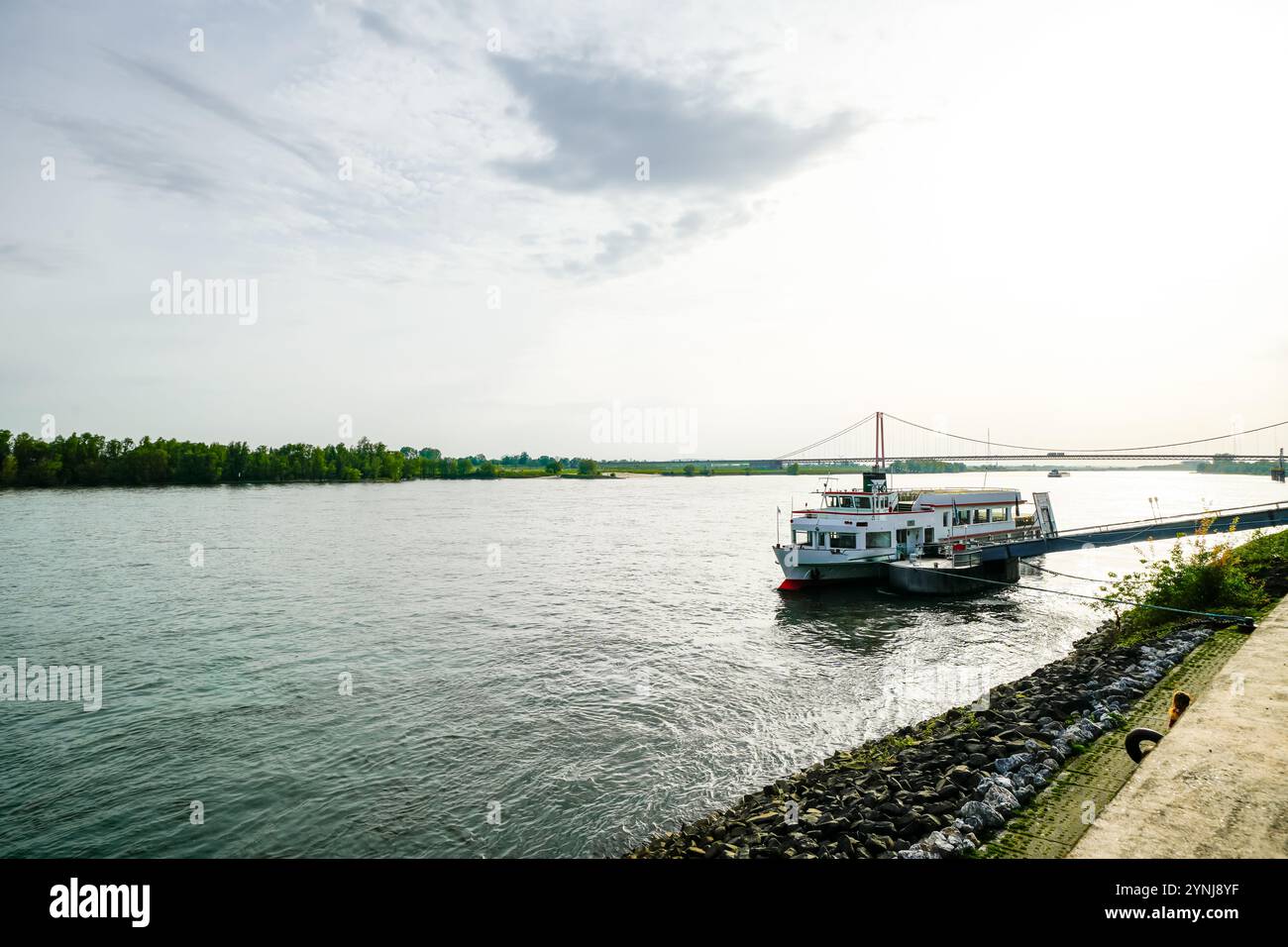 Vue sur le pont du Rhin près d'Emmerich am Rhein. Paysage au bord de la rivière dans la soirée avec un pont suspendu sur le Rhin inférieur. Banque D'Images