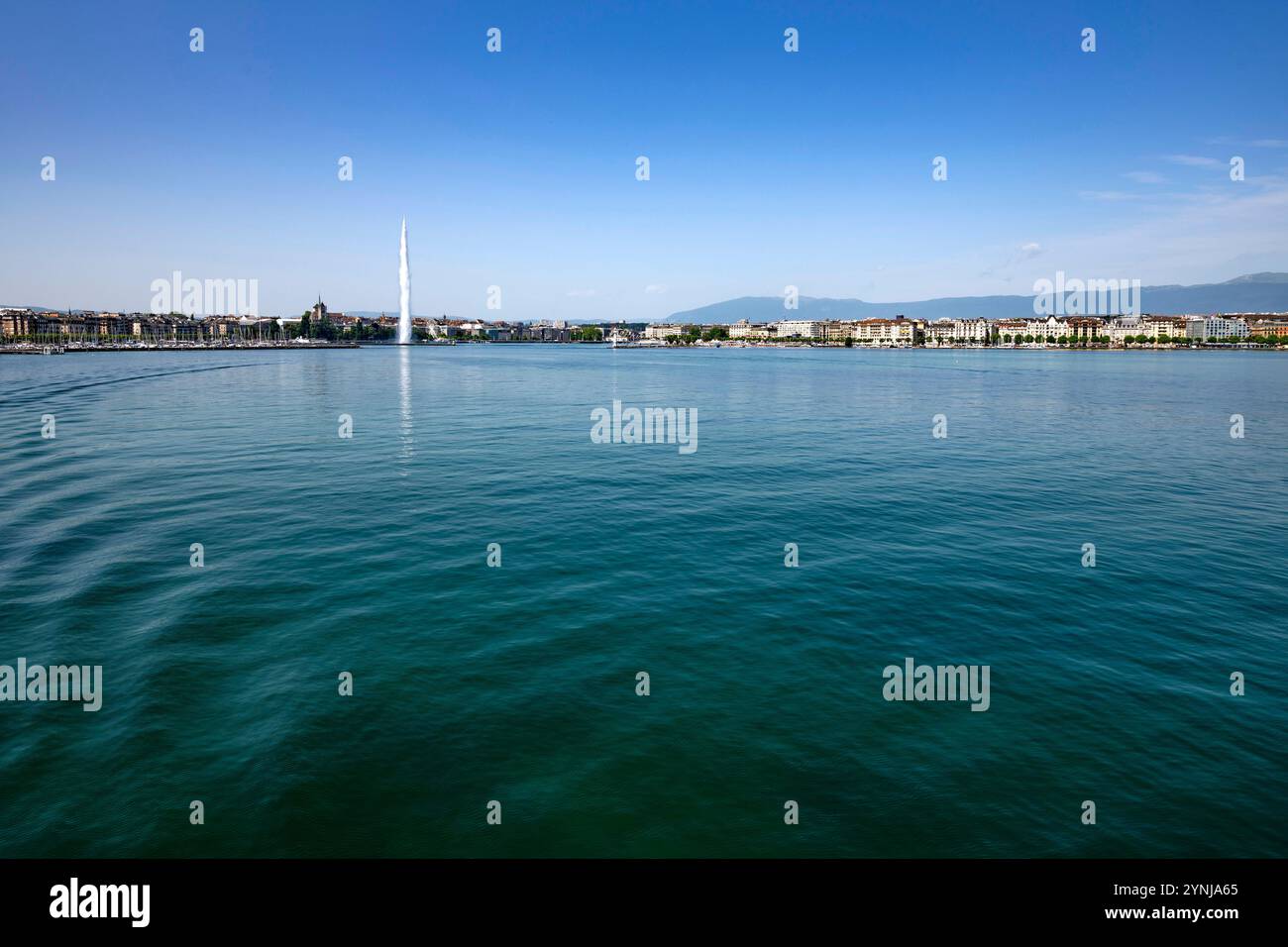 Suisse, Schweiz, Suisse, canton de Genève, Kanton Genf, canton de Genève, Genève, Genf, Genève, ville, Stadt, ville, ville, , Lac Léman, voir Genfer Banque D'Images