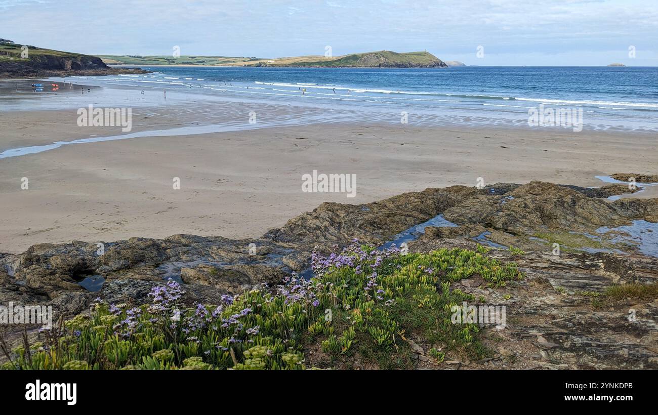 Plage de Polzeath en été - Cornwall, Royaume-Uni Banque D'Images