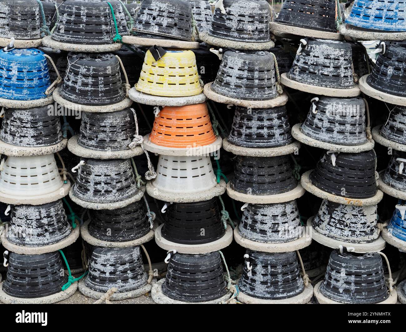 Cantines à homard modernes en plastique sur le quai à Saint-Vaast-la-Hougue, Manche, Normandie, France, Europe Banque D'Images