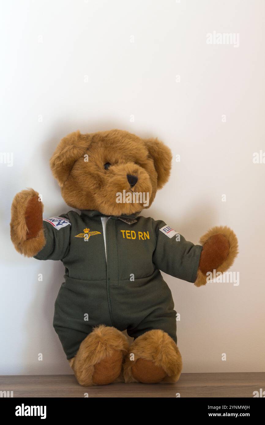 Ted RN Royal Navy Teddy Bear doux peluche - Fleet Air Arm Bear de Yeovil Banque D'Images