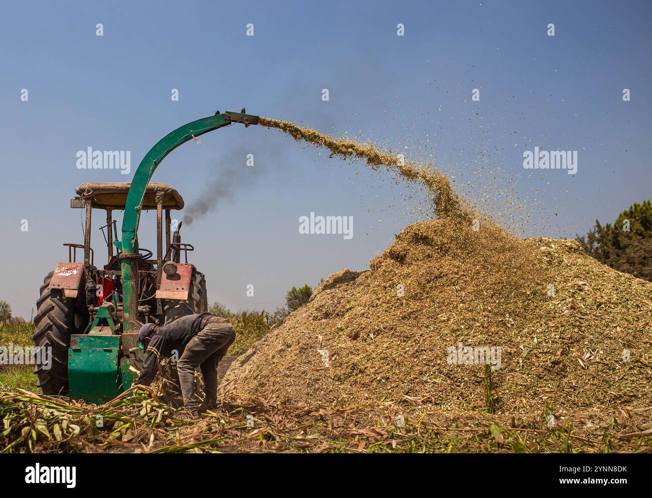 Deux hommes labourent le champ. Banque D'Images