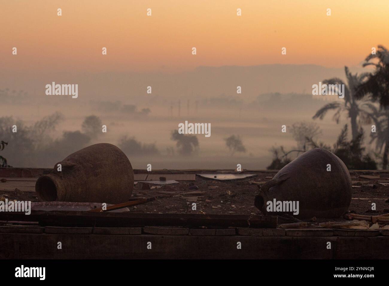 Campagne égyptienne le matin Banque D'Images