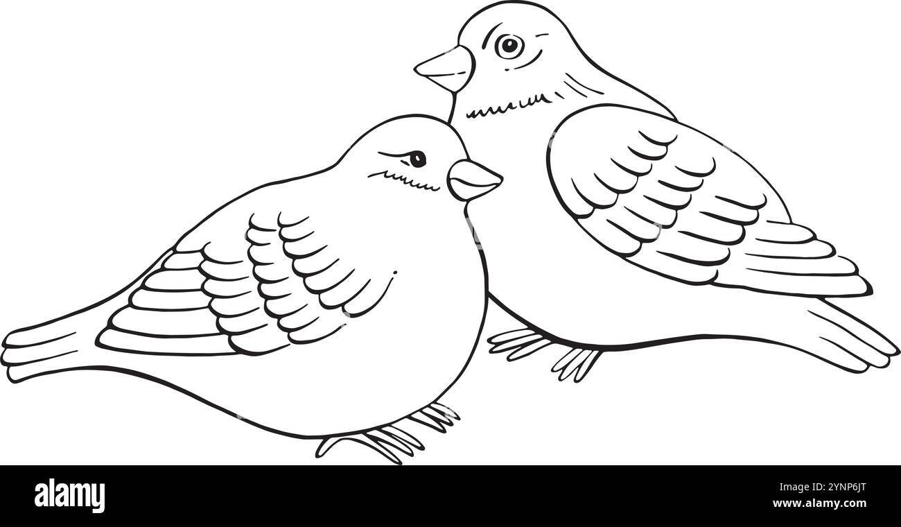 Deux oiseaux. Graphique vectoriel d'encre de contour romantique. Oiseau de ligne isolé pour la Saint-Valentin, Noël, nouvel an, carte postale de saison, invitation, coloriage pour enfants Illustration de Vecteur